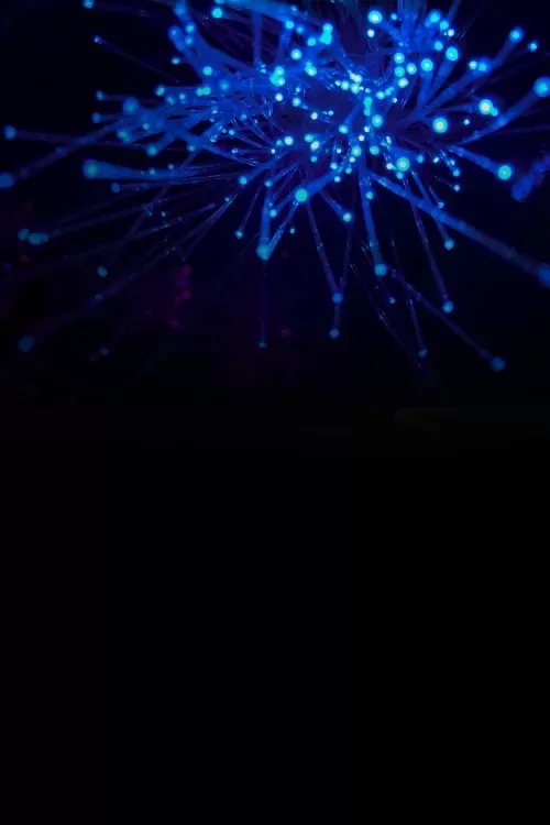 Managed Infrastructure & Network