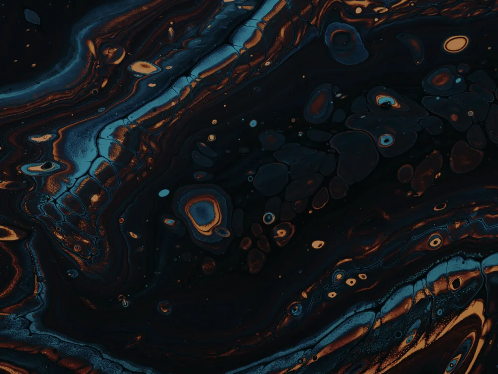 Healthcare Data Integration