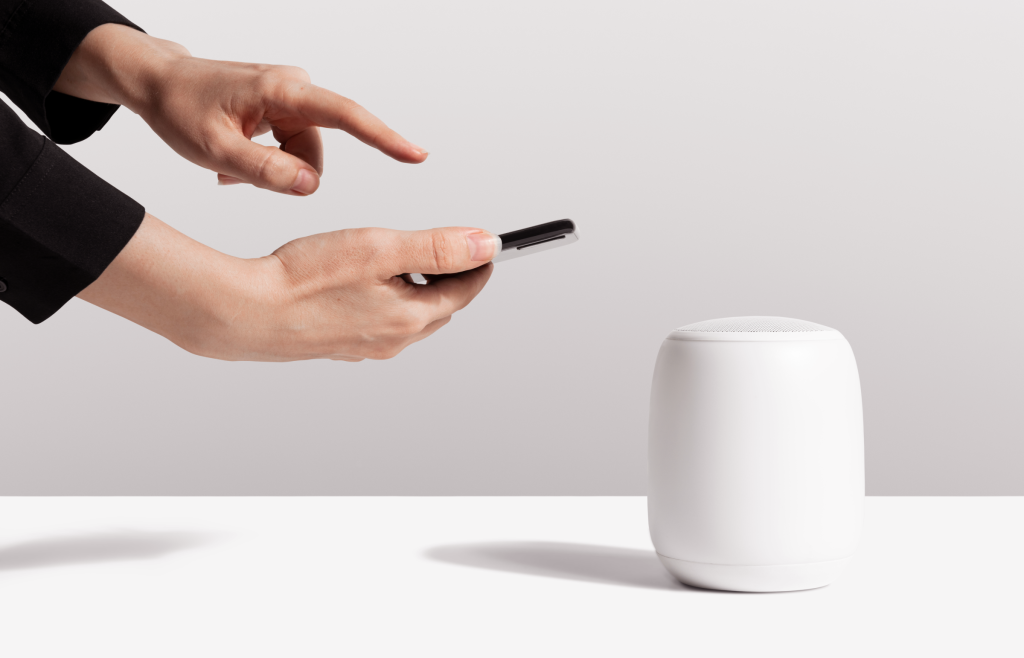 Using a voice assistant for the Internet search