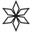 Icon brands